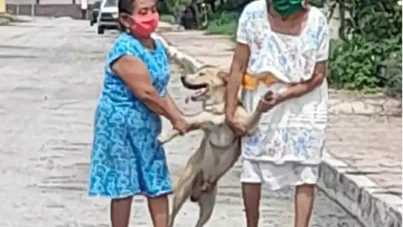 Con un acto de travesura, Firulais trata de escapar pero es detenido por sus dos "carceleras" yucatecas Con un acto de travesura, Firulais trata de escapar pero es detenido por sus dos "carceleras" yucatecas