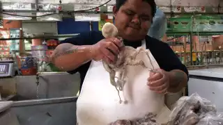 Secretaría de Pesca en Yucatán reconoce: No se logró la meta de captura del pulpo pese a la extensión del plazo