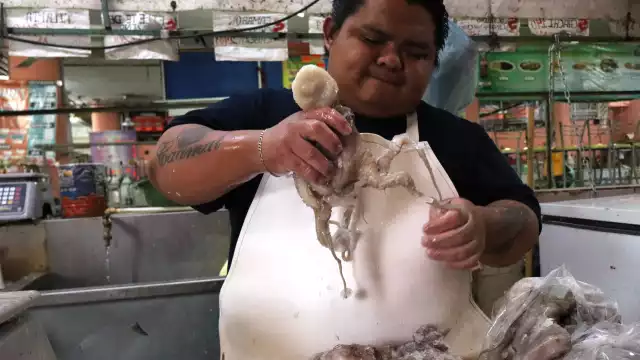 Pese a la ampliación de la temporada, no se cumplió con el estimado para esta pesquería esencial