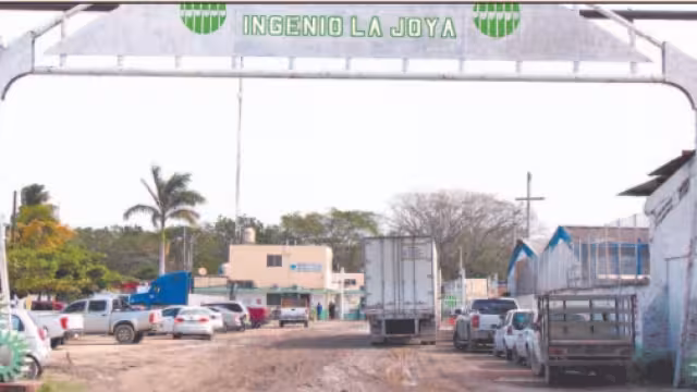 Frente Frío afecta industria azucarera en Campeche