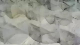 Un grupo de investigadores denunciaron el hecho