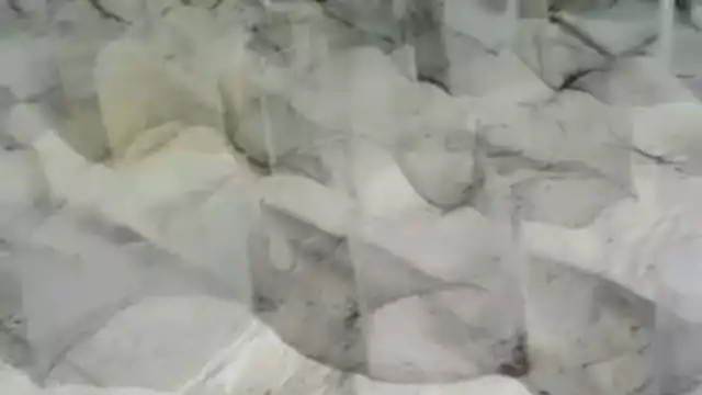 Un grupo de investigadores denunciaron el hecho