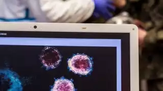 La variante brasileña ya se encuentra en México