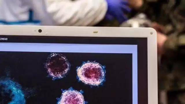 La variante brasileña ya se encuentra en México