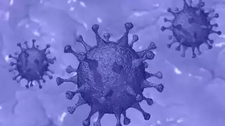 La nueva variante británica se ha extendido en 30 países de Europa