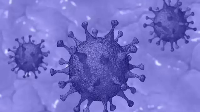 La nueva variante británica se ha extendido en 30 países de Europa