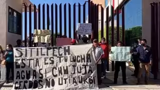 Pocas plantas porcícolas de Yucatán tienen el MIA