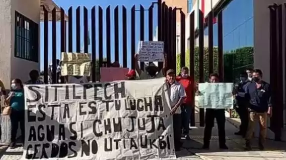 Pocas plantas porcícolas de Yucatán tienen el MIA Pocas plantas porcícolas de Yucatán tienen el MIA