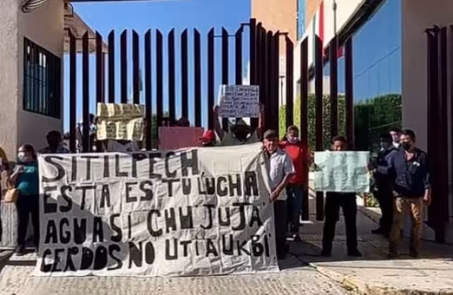 Pocas plantas porcícolas de Yucatán tienen el MIA