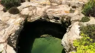 Algunos de los cenotes hallados en Cozumel son posiblemente  conductos abiertos del manto freático, indica el especialista