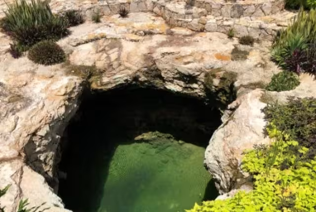 El cenote de Costco solo es un atractivo visual