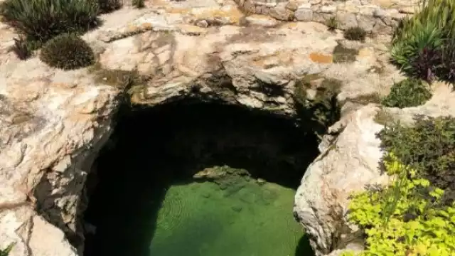 Algunos de los cenotes hallados en Cozumel son posiblemente  conductos abiertos del manto freático, indica el especialista