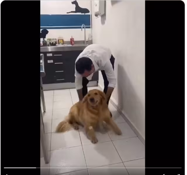 Foto: Captura del video