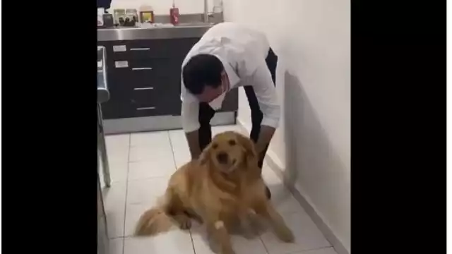 Foto: Captura del video