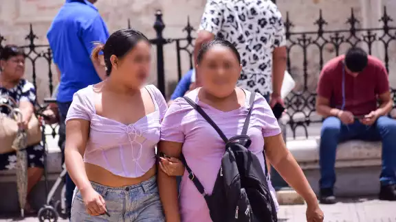El número 911 recibió, en enero, 457 llamadas de emergencia de mujeres yucatecas El número 911 recibió, en enero, 457 llamadas de emergencia de mujeres yucatecas