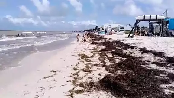 Tan solo el domingo pasado llegaron más de cuatro mil personas. Foto: Julio Jiménez Mendoza