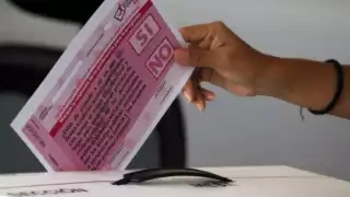 La consulta ciudadana se manejará igual que una jornada electoral en cuanto a horarios y ubicaciones