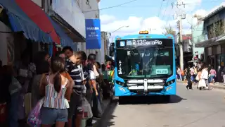 Conoce el horario del transporte público y Va y Ven en Mérida este 31 de diciembre y 1 de enero 