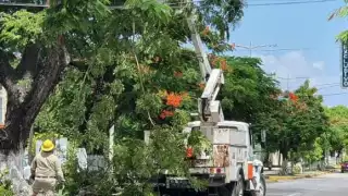 los trabajos de prevención obedecen al posible impacto de los efectos de la sistema hidrometeorológicos Grace a la isla