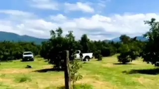 Suman doce los cuerpos hallados en una fosa de Uruapan, Michoacán