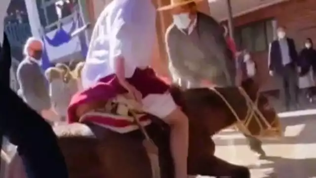 El equino no pudo mantener el equilibrio por el tipo de piso en el que se llevó a cabo la representación. Foto: Captura de pantalla