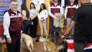 Aeropuerto de Cancún contará con binomios caninos internacionales durante el Mundial