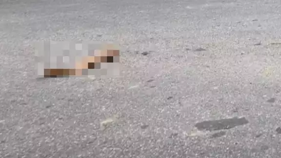 La patrulla circuló en sentido contrario y se impactó con la motociclista. Foto: Por Esto!
La patrulla circuló en sentido contrario y se impactó con la motociclista. Foto: Por Esto!