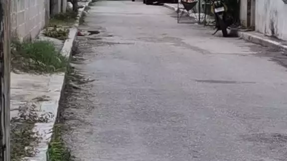FOTO: Por Esto!