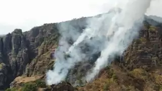 Con este es el segundo año consecutivo que se registran incendios en el Tepozteco. Foto: Twitter @CNPC_MX