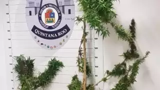 Hasta el momento no hay personas aseguradas que estén involucradas con el hallazgo