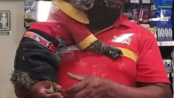 La imagen del animalito con su uniforme ha enternecido las redes sociales La imagen del animalito con su uniforme ha enternecido las redes sociales