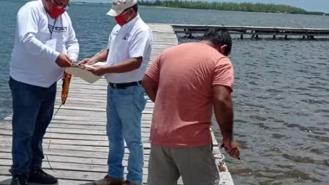 Dichas prácticas no corresponden al gremio de los pescadores, por lo que fueron exportados a realizar el cierre