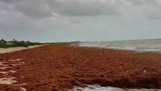 FOTO: José Luis López Quintal