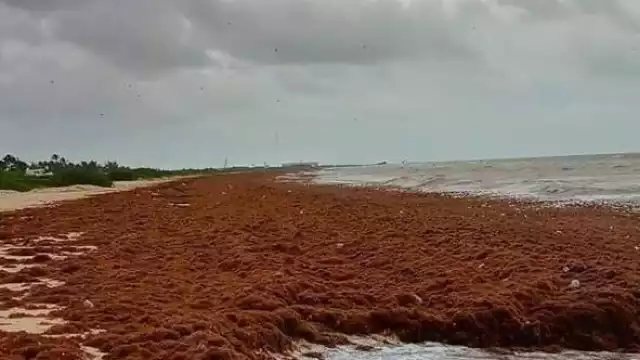 FOTO: José Luis López Quintal