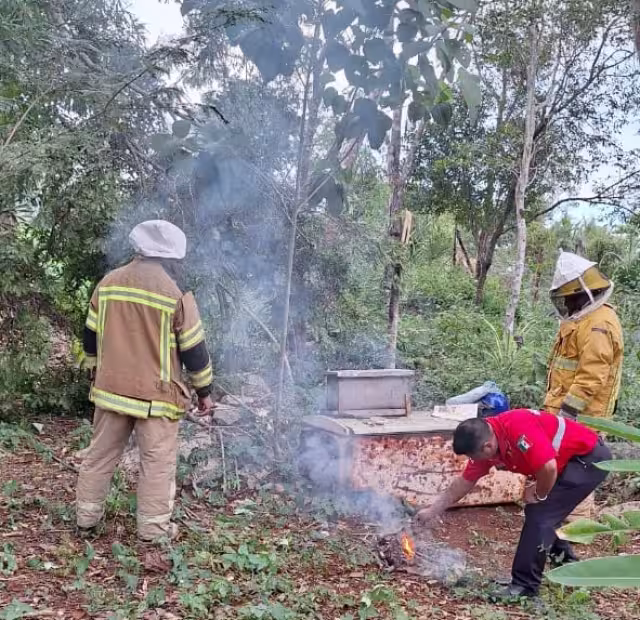 Trabajadores señalaron que el calor y el ruido provocan que los insectos se alteren constantemente