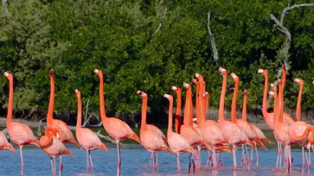 Dzilam de Bravo es conocido como un puerto dedicado a la pesca