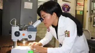 FOTO: Instituto Politécnico Nacional