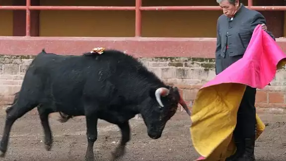 El torero en una presentación El torero en una presentación