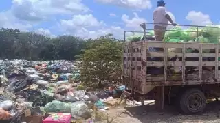  Acusan que Ayuntamiento de Escárcega crea basurero clandestino   