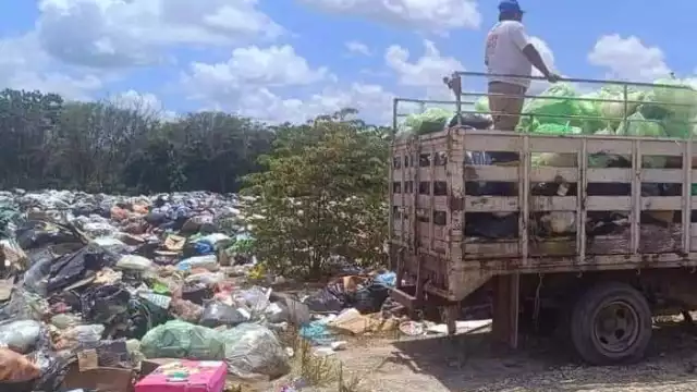 La Comuna de Escárcega no tiene dónde verter los desperdicios y usa cualquier terreno.