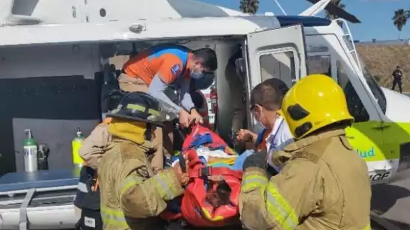 Se registraron 15 muertes hasta el momento Se registraron 15 muertes hasta el momento