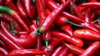 Así se mide lo picante de un chile