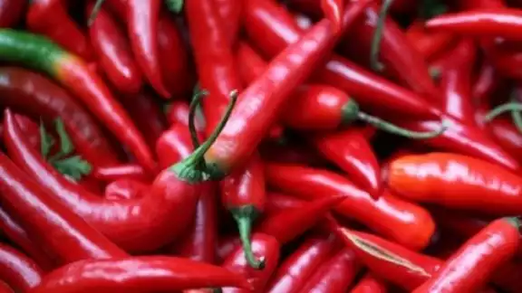 Entre los ciles, el habanero es de los más picantes, pero hay algunos mucho perores, descubre cuáles son