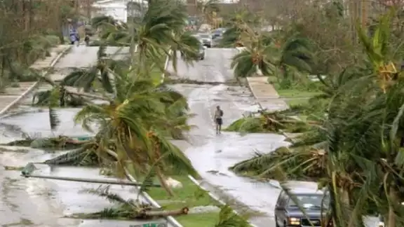 En 2006 el Gobierno de México realizó una inversión de 217 millones de pesos para la restauración de playas devastadas En 2006 el Gobierno de México realizó una inversión de 217 millones de pesos para la restauración de playas devastadas