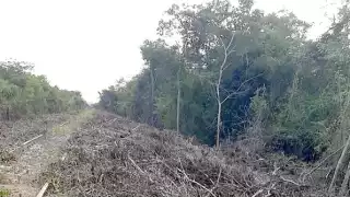 Son 165 los ejidatarios afectados que interpusieron la demanda y por la cual habrá una comparecencia con la Procuraduría Agraria.