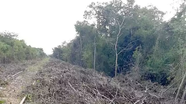 Son 165 los ejidatarios afectados que interpusieron la demanda y por la cual habrá una comparecencia con la Procuraduría Agraria.