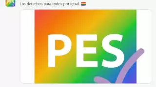 Los mensajes difundidos difieren de la ideología del partido