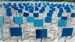 Deline García consideró que los denunciantes también violentaron la NOM-162-Semarnat-2012