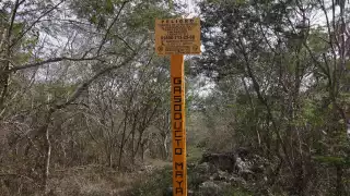 Es necesario para que funcione la nueva planta de Valladolid y que Yucatán genere energía