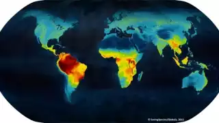Las altas temperaturas se han sentido en gran parte del planeta